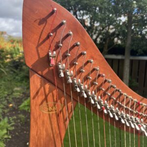 Salvi Aida 34 string lever Harp