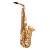 Trevor James The Horn Alto Saxophone - Gold Lacquer