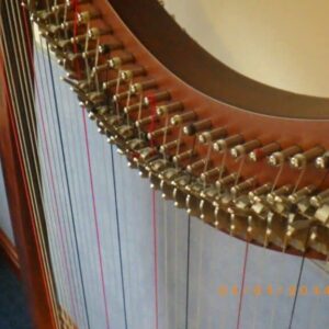 Salvi Aida Mahogany 34 String Lever Harp. With dust cover & padded travel cover.